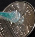 An array of 16 microelectrodes -- known as a microECoG grid -- is arranged in a four-by-four array and shown next to a US quarter-dollar coin with a Utah state design on its "tail" side. University of Utah researchers placed two such microelectrode grids over speech areas of a patient's brain and used them to decode brain signals into words. The technology someday might help severely paralyzed patients "speak" with their thoughts, which would be converted into a computerized voice.