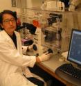 Noboru Sato is an assistant professor of biochemistry and a member of the Stem Cell Center at UC Riverside.