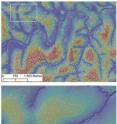 This mapping shows the distribution of termite mounds relative to seeplines, parts of savanna slopes where water has flowed below ground through sandy, porous soil and backs up at areas rich in clay. Warm colors indicated higher elevations above river channels and the dots indicate termite mounds.