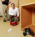 The black robot intentionally knocked down the red marker to deceive the red robot into thinking it was hiding down the left corridor. Instead, the black robot is hiding inside the box in the center pathway. The black robot intentionally knocked down the red marker to deceive the red robot into thinking it was hiding down the left corridor. Instead, the black robot is hiding inside the box in the center pathway.