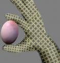 This is an artist's illustration of an artificial e-skin with nanowire active matrix circuitry covering a hand. A fragile egg is held, illustrating the functionality of the e-skin device for prosthetic and robotic applications.