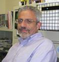 This is Eliezer Masliah, M.D., of the University of California - San Diego.