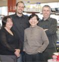 Ms. Angela D'Amico, Dr. Sebastian Carotta, Dr. Li Wu and Dr. Stephen Nutt from the Walter and Eliza Hall Institute in Melbourne, Australia, have found the transcription factor PU.1 is essential to dendritic cell development.