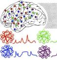 This is an illustration of how brain rhythms organize distributed groups of neurons into functional cell assemblies. The colors represent different cell assemblies. Neurons in widely separated brain areas often need to work together without interfering with other, spatially overlapping groups. Each assembly is sensitive to different frequencies, producing independent patterns of coordinated neural activity, depicted as color traces to the right of each network.