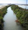 Cocaine and ecstasy have been detected in the waters of the L'Albufera in Valencia.