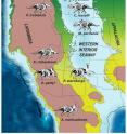 This map shows the ancient western interior seaway that divided the "lost continent" of Laramidia from Appalachia, and distribution of dinosaurs found in the rich "dinosaur boneyard."