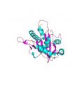 This image shows the structure of the UL89 protein, which could be a valid target against all Herpesviridae.