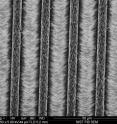Graphic illustrates a single row of nanowires (cylinders with red tops) with fin-shaped nanowalls extending outward. The transmission electron microscope image shows four rows of nanowires and their corresponding nanowalls, nicknamed "nano LEDs" because they emit light when electrically charged. The distance across the micrograph is approximately the diameter of a human hair.