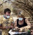 Working with some of her students, Kathleen Alexander (center), associate professor of wildlife at Virginia Tech, samples and conducts a health examination of a banded mongoose in her study area in Botswana.