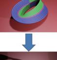 A Möbius strip cut along its centerline, yields a Kirigami-Ring.