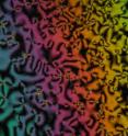 Like other nematic liquid crystals, films of the new family of Zwitterionic liquid crystals form beautiful patterns.