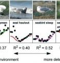 Some animal behaviors are highly determined by abiotic environmental variables; others are influenced relatively little. Model predictions are in color; observations are black circles. The R2 value can be interpreted as the proportion of variability in the data that is explained by abiotic environmental variables.  (From "The Mathematics of Animal Behavior: An Interdisciplinary Dialogue", by Shandelle M. Henson and James L. Hayward, <i>Notices of the American Mathematical Society</i>, November 2010.)