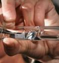 Dr. Stephanie Hoeppener from Jena University holds a glass cylinder with carbon nanotubes for atomic force microscopy.