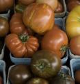 A variety of heirloom tomatoes are available at a local farmers' market.