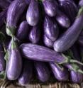 Beautiful purple Asian eggplants are on sale at a local farmers' market.