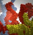 This image is a simulation snapshot of the molecular dynamics of DNA strands.