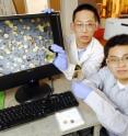 Wei Lin holds a gold/organic aqua regia solution while Rongwei Zhang holds a silicon substrate coated with 200-nanometer gold.  The image on the monitor shows gold recovered from the solution using calcinations.