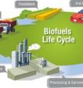 Biofuel offers an alternative to gasoline that is carbon-neutral and can be produced in a sustainable fashion.