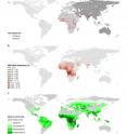 These are maps showing the distribution of the HbS "sickle cell gene" and the endemicity of malaria.