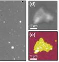 "Laser targeting" for nanoscale microscopy: On the left, a typical 900 square micrometer view, using focused laser beam, shows potentially interesting purple membrane patch, which is marked with the square. Right top, closer optical image of patch; bottom, same target imaged with AFM revealing topological detail.