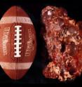 At left, a regulation size football. At right, a human cystic kidney removed during a transplantation operation. A normal human kidney is the size of an adult fist.