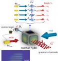 Writing laser pulses are switched on by the intensity modulator (IM_write) and generate correlated light scattering from four collections of atoms (atomic ensembles which serve as quantum memories). Detection of a single photon at Dh for the light scattered from the atoms creates the entangled state rho^(A)_w  with one spin excitation shared collectively among the ensembles (as illustrated at the top of the figure). At later times, the intensity modulator (IM_read) switches on read laser pulses that read out the quantum information stored in the atoms, thereby creating four entangled beams of light in the state rho^(gamma)_w illustrated in the lower right corner of the figure. The inset is a fluorescence image of the laser-cooled atomic ensembles a, b, c and d that become entangled.