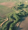 Conservation buffers cut fertilizer run-off to nearby streams and capture CO2.