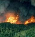 This is an image of wildfires in the Alaskan Interior. A new study reveals that climate change is causing these fires to burn more fiercely over the last decade which has resulted in an increase in greenhouse gases being pumped into the atmosphere.