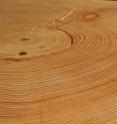 Annual tree rings record a detailed history of drought (narrow rings) and wetness (wide rings). This sample from a dead Douglas-fir tree in the Santa Catalina Mountains near Tucson, Ariz., has nearly 400 rings and dates back to the year 1600. Stress cracks, visible in the foreground of the image, occur as the dead wood dries and contracts.