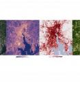 Satellite-produced maps of Providence, R.I., highlight the role that differences in development patterns and vegetation cover can have on the magnitude of a city's urban heat island.