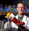 BYU nutritionist Tory Parker published a study identifying which compounds -- in the right proportions -- in an orange contribute the most to good health. The results could be used to develop a super-supplement that mimics an orange's effects on the body.