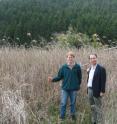 This image shows Ryan Stewart (left) and Aya Nishiwaki (right) standing at the site in Kushima, Japan, where triploid seeds were collected in an overlapping population of <i>Miscanthus sinensis</I> and <I>Miscanthus sacchariflorus</I>.