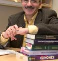 Georgia Tech Regents professor Mark Borodovsky developed a program called GeneMark.hmm-ES+ to identify genes in the DNA sequence of the woodland strawberry.