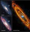 The Andromeda Galaxy is our nearest large galactic neighbor, containing several hundred billion stars. Combined, these images show all stages of the stellar life cycle. The infrared image from Herschel shows areas of cool dust that trace reservoirs of gas in which forming stars are embedded. The optical image shows adult stars. XMM-Newton's X-ray image shows the violent endpoints of stellar evolution, in which individual stars explode or pairs of stars pull each other to pieces.