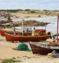 Fishing boats line the beach at Punta del Diablo, a seaside community in Uruguay where the 600 year-round inhabitants are mainly fishers and artisans. Fishers, managers and scientists are cooperating in the multi-species fishery there to improve management and reduce discards and incidental catches of the endangered Franciscana dolphin (<I>Pontoporia Blainvillei</i>).