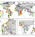 Researchers scored 130 community-based co-managed fisheries on eight outcomes ranging from community empowerment to increases in fish abundance around the world, with Europe and Southeast Asia broken out in the lower panels. Forty percent of fisheries scored positively on 6, 7 or all 8 outcomes, represented with dark- and light-green circles. Another 25 percent scored positively on 4 to 5 outcomes, represented in yellow; 18 percent scored 2 to 3, in orange; and 17 percent scored zero to 1, in red.