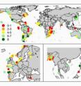 Scientists scored 130 community-based, co-managed fisheries on eight outcomes.