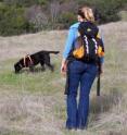 Maggie, a Labrador retriever mix, is seeking out the scat of wildlife at the Hopland Research and Extension Center, a UC research field station in Mendocino County. Sarah Reed, in the foreground, trained Maggie to detect the scat of target species as part of a research project to improve the accuracy of non-invasive wildlife surveys.