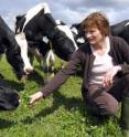 This is Gillian Butler at Newcastle University's Nafferton Farm, Northumberland, with some of the farm's cows.