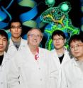 Chemists led by Illinois professor Eric Oldfield, center, determined the structure of a key enzyme that could lead to more efficient drugs to treat staph infections, parasites and high cholesterol. The research team, from left, research scientist Yonghui Zhang, graduate student Fu-Yang Lin, research scientist Rong Cao and postdoctoral associate Ke Wang.