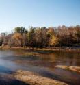 This region of Shoal Creek, where the new species was found, has been a hotspot for crayfish and the biologists who study them.