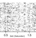 An activity pattern is comparable to a communication protocol. It indicates which neuron is active at a given time.