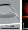 On the left is a scanning electron micrograph of a plasmonic Luneburg lens on a gold film. On the right, fluorescence imaging shows intensity of the SPPs propagated by the Luneburg lens (dotted circle). X marks the launching position of the electron beam and Z is the direction in which the SPPs propogate.