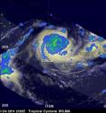 Tropical cyclone Wilma was seen by the TRMM satellite shortly after attaining hurricane intensity on Jan. 24, 2011, at 2128 UTC. The yellow and green areas indicate moderate rainfall between .78 to 1.57 inches (20 and 40 mm) per hour.