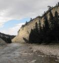This is rock strata on Anticosti Island, Quebec, Canada, one of the sites from which the researchers collected fossils.