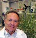 DOE Joint Genome Institute Director Edward M. (Eddy) Rubin is the senior author on the January 28, 2011 "Metagenomic Discovery of Biomass-Degrading Genes and Genomes from Cow Rumen," paper published in the journal <i>Science</i>.