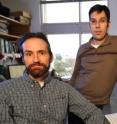 These are Vanderbilt evolutionary biologists Antonis Rokas, right, and Jason Slot.