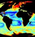 The image shows global invertebrate biomass, centred on the Atlantic. High and low values of biomass are indicated in red and dark blue, respectively.