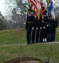 The moon tree planted at Arlington National Cemetery in Virginia in honor of astronaut Stuart Roosa during a dedication ceremony in 2005.
