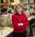 This is Dr. June Medford in her lab at Colorado State University.